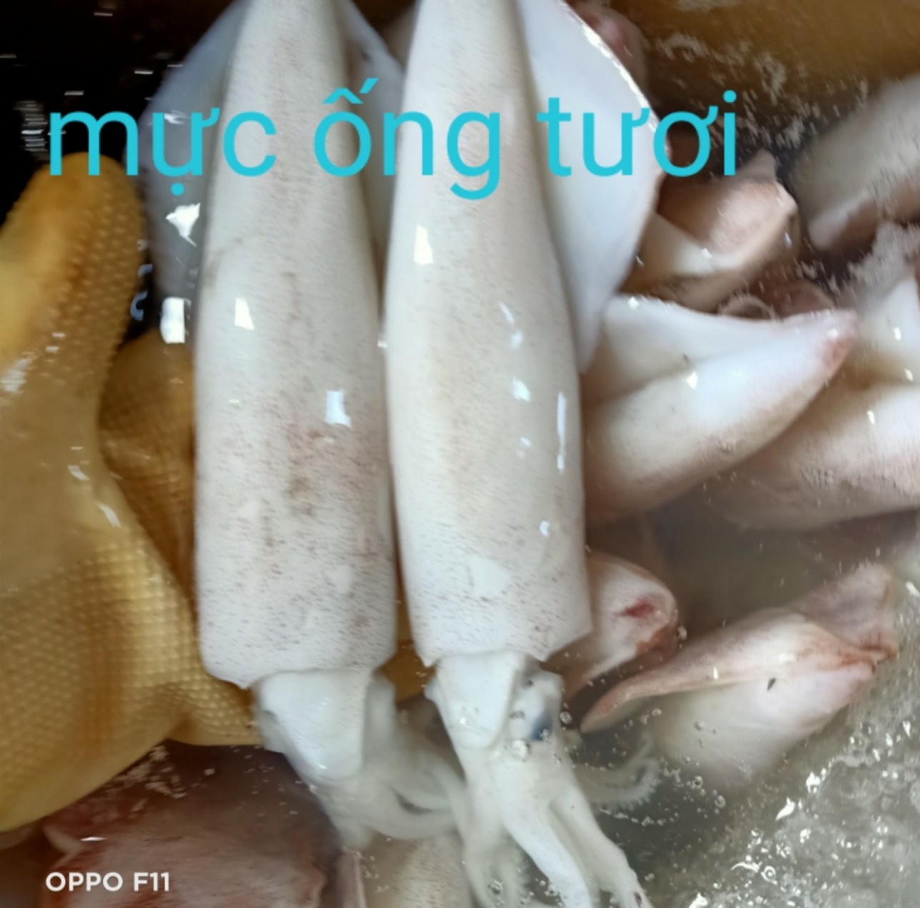 muc_ong_tuoi